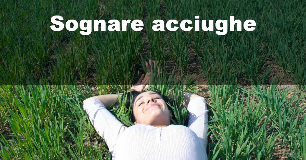 Sognare acciughe