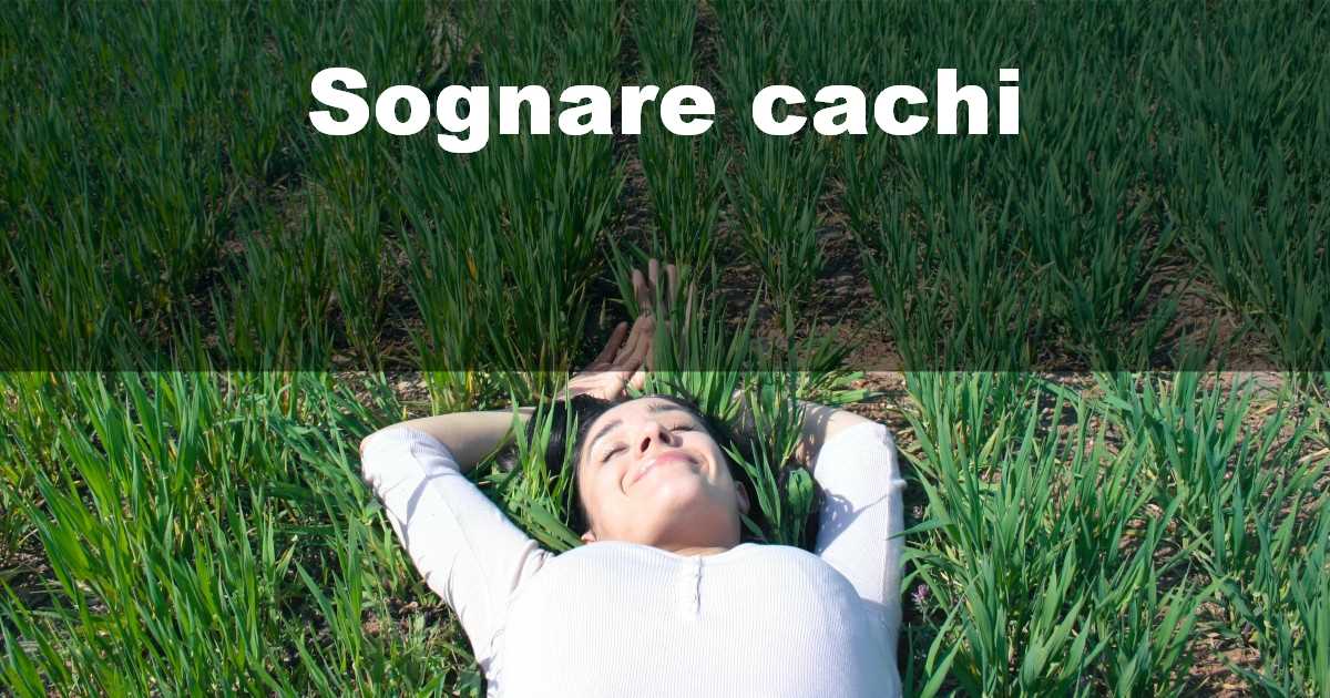 Sognare cachi