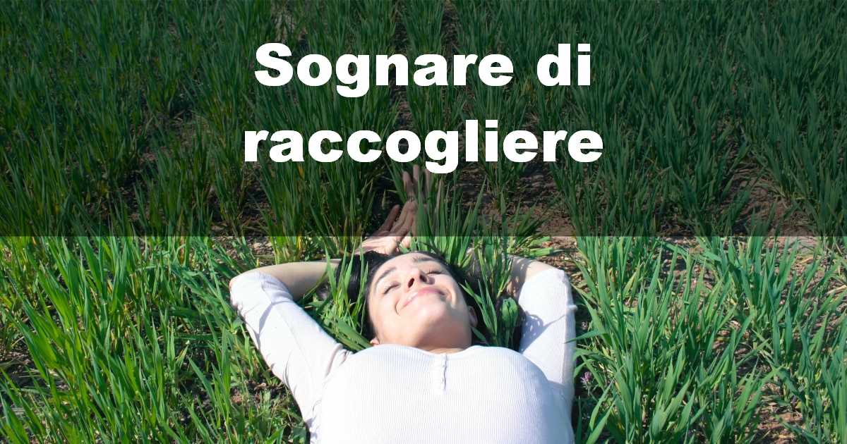 Sognare di raccogliere