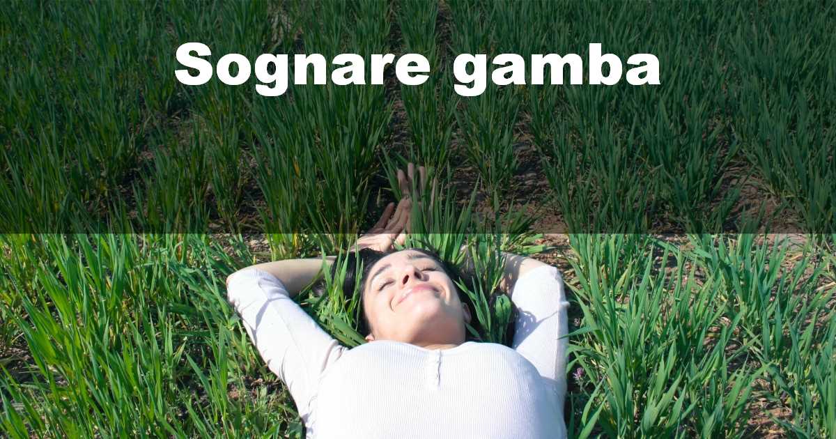 Sognare gamba