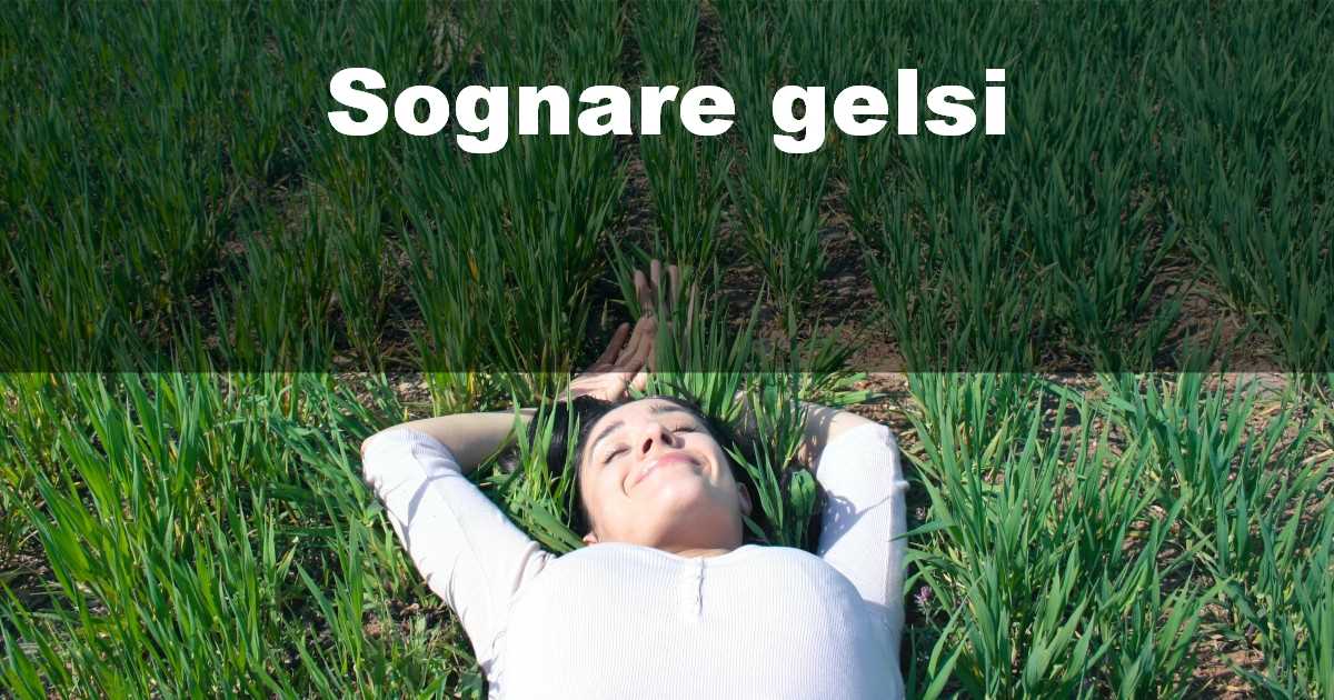 Sognare gelsi