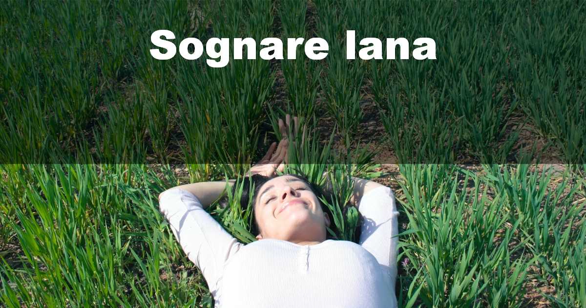 Sognare lana