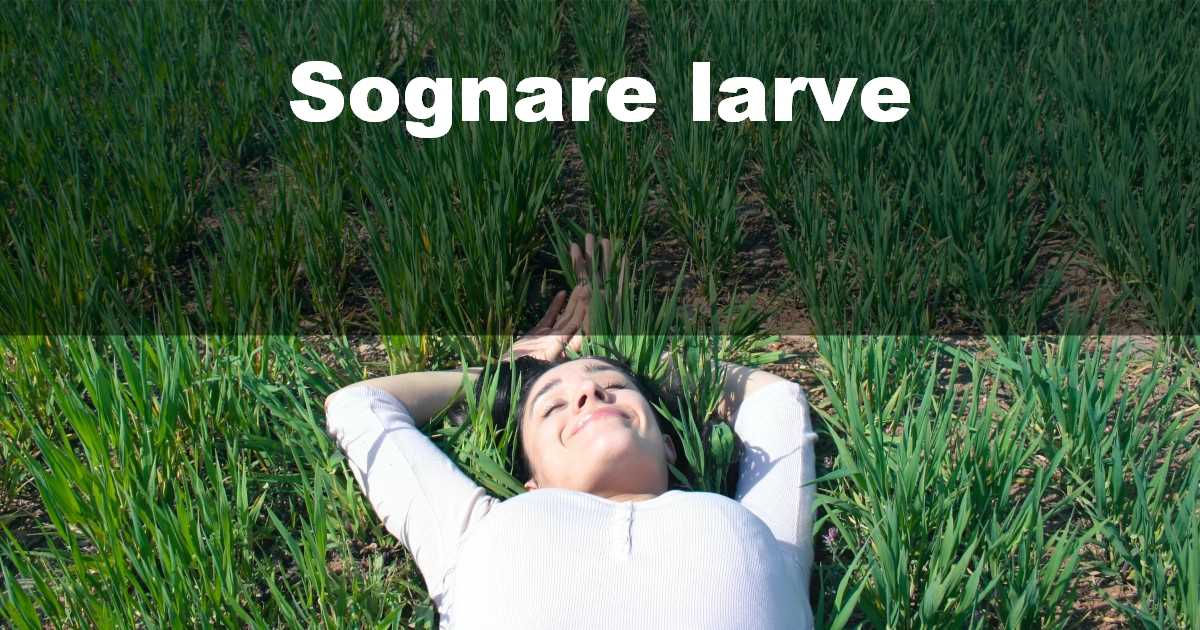 Sognare larve