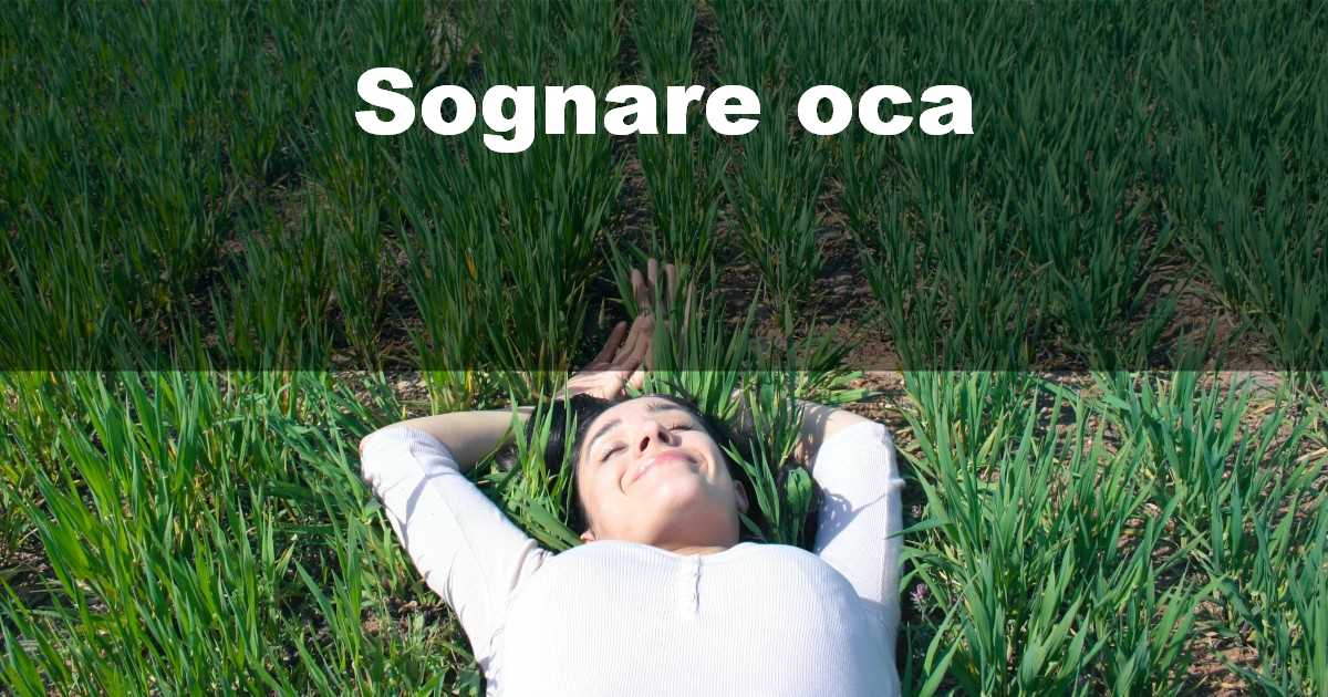 Sognare oca