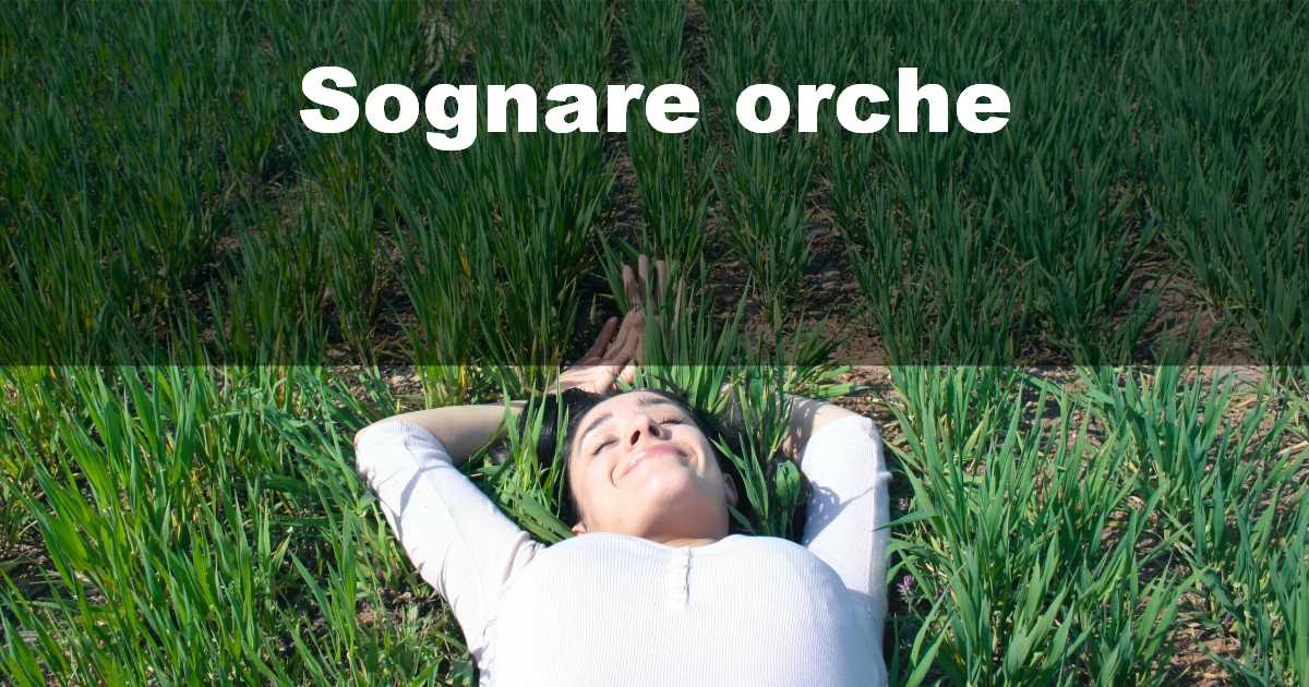 Sognare orche